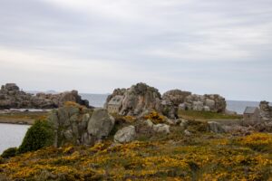 Côte rocheuse et lande bretonne en fin de journée, étape d'un road trip en Bretagne