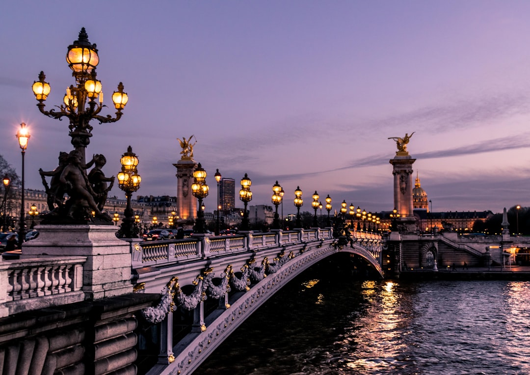 Ruelle piétonne bondée dans une des villes les plus touristiques de France en été