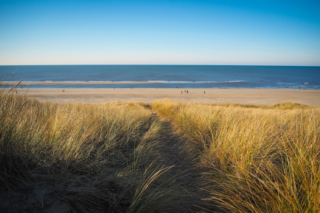 Plage aux Pays-Bas : sable clair et dunes face a la mer du Nord